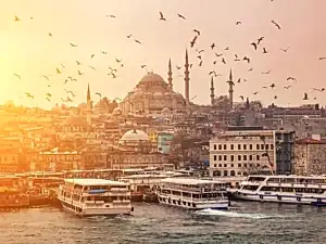 Turkish Consultant